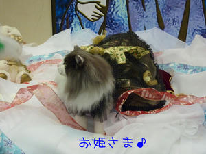P1000784_edited-1.jpg