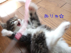 DSCF9256_edited-1.jpg