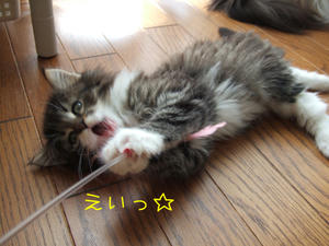DSCF9260_edited-1.jpg