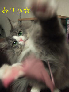 DSCF9318_edited-1.jpg