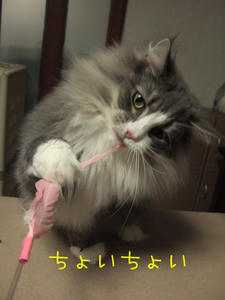 DSCF9343_edited-1.jpg