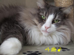 DSCF9396_edited-1.jpg