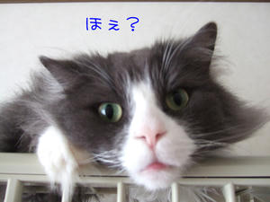 DSCF9678_edited-1.jpg