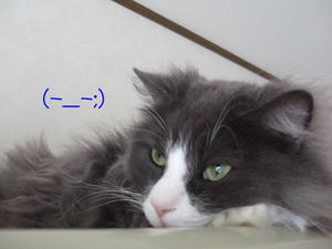 DSCF9686_edited-1.jpg