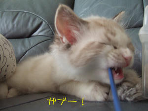 DSCF9766_edited-1.jpg