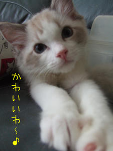 DSCF9724_edited-1.jpg