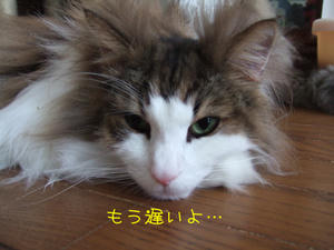 DSCF9715_edited-1.jpg