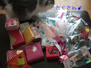DSCF9876_edited-1.jpg