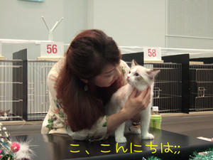 DSCF9885_edited-1.jpg