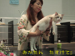 DSCF9886_edited-1.jpg