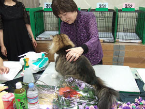 DSCF9902_edited-1.jpg