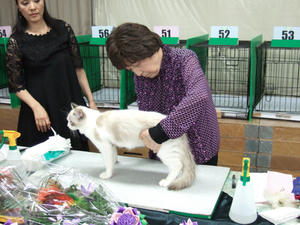DSCF9906_edited-1.jpg