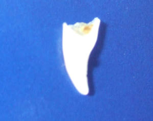 DSCF9930_edited-1.jpg