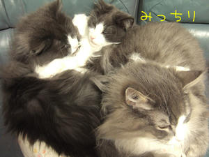 DSCF9946_edited-1.jpg