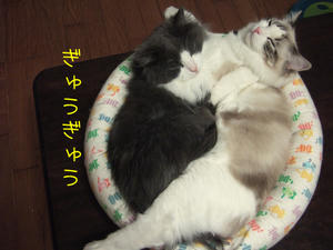 DSCF9974_edited-1.jpg