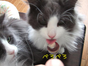 DSCF9991_edited-1.jpg