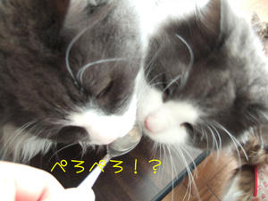 DSCF9992_edited-1.jpg