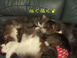 DSCF9963_edited-1.jpg