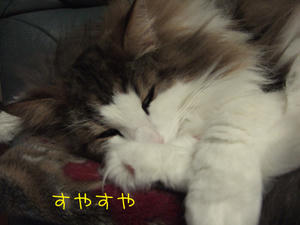 DSCF9964_edited-1.jpg