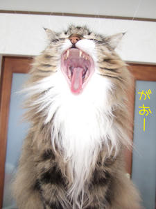 DSCF0001_edited-1.jpg