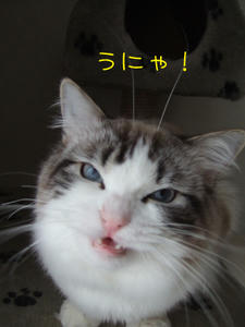 DSCF0089_edited-1.jpg