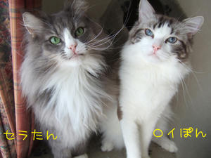 DSCF0123_edited-1.jpg
