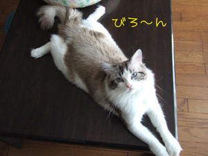 DSCF0131_edited-1.jpg