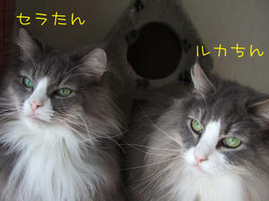 DSCF0127_edited-1.jpg