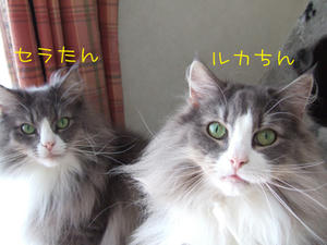 DSCF0130_edited-1.jpg