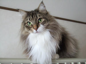 DSCF9604_edited-1.jpg