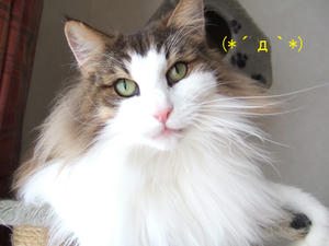 DSCF0139_edited-1.jpg