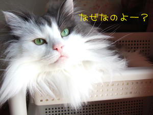 DSCF0145_edited-1.jpg