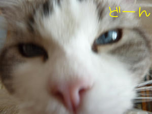 P1020246_edited-1.jpg