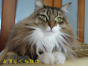 P1020286_edited-1.jpg