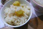 P1000105_edited-1.jpg