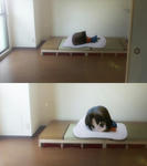 ryougi2_00001_35.jpg