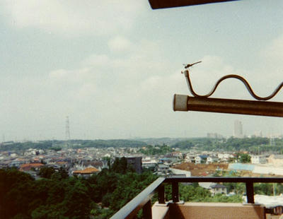 01.jpg
