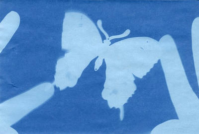 6dd8c385.jpg