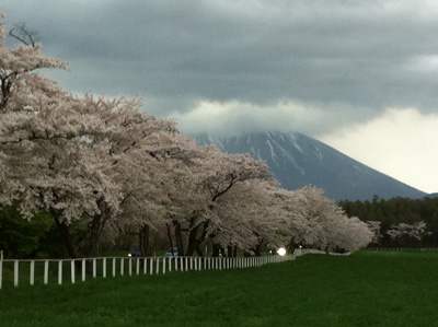 20120506koiwai1web.jpg