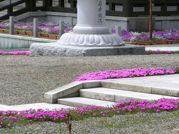 tn_P5020470.JPG