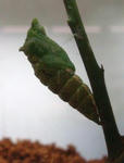 0907-9.jpg