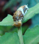 0910-1.jpg
