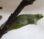 0921-24.jpg