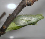 0921-25.jpg
