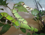 0924-4.jpg