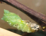 0925-14.jpg