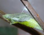 0928-6.jpg