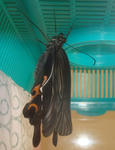 1015-7.jpg