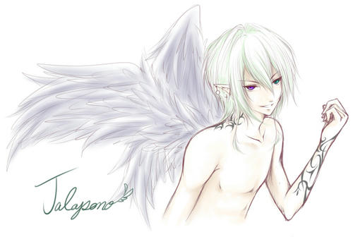 0a231bed.jpg