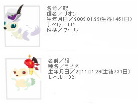 2013_yo.jpg